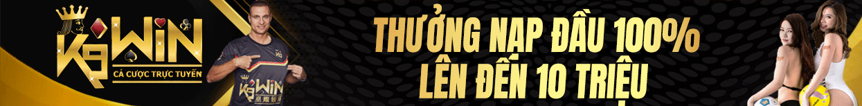banner k9win
