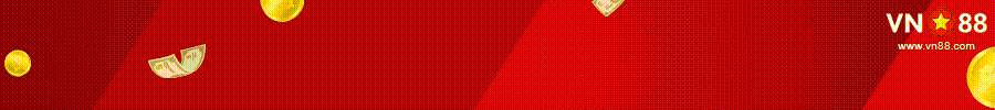banner vn88