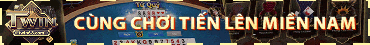 twin banner